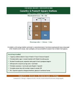 Genetics & Punnett Square Stations | 6-Station Rotation | NGSS & NY Regents