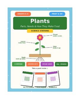Plants Science Stations | Parts of a Plant, Photosynthesis for Kids | K-5