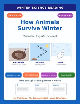 Animals in Winter Reading Comprehension Passages | Hibernation | 2nd 3rd 4th