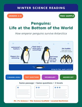FREE Penguins Winter Animals Reading Comprehension Passage | 2nd 3rd 4th Grade