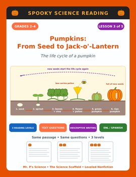 Pumpkin Life Cycle Halloween Reading Comprehension Passages | 2nd 3rd 4th Grade